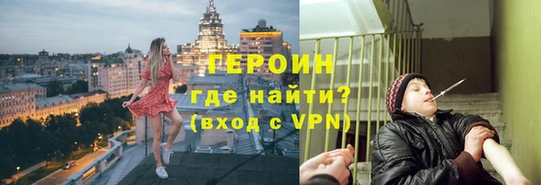 гашик Алексин