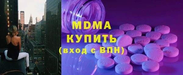 гашик Алексин