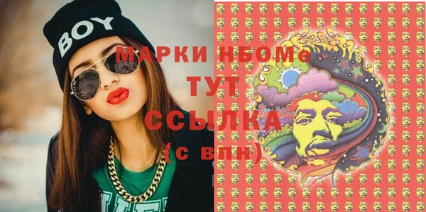 гашик Алексин