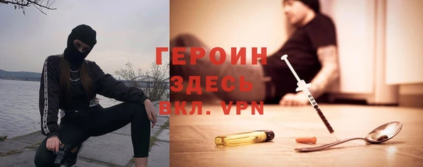гашик Алексин