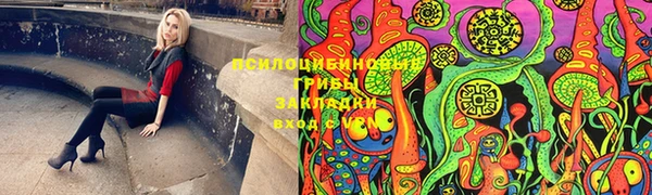 гашик Алексин