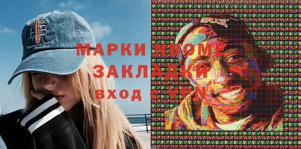 гашик Алексин