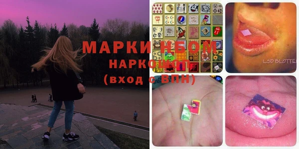 гашик Алексин