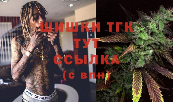 PSILOCYBIN Алзамай