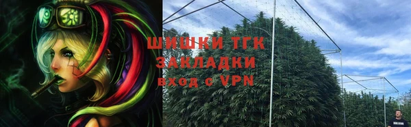 PSILOCYBIN Алзамай