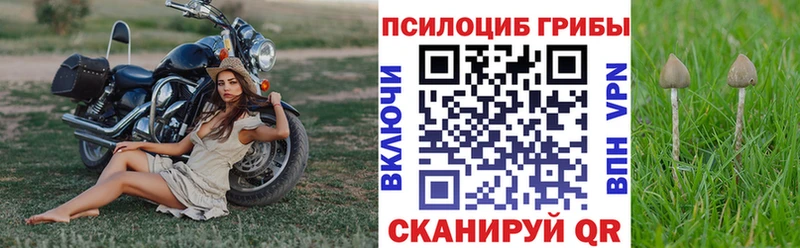 Галлюциногенные грибы мицелий  кракен зеркало  Славск 